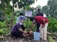 Green School Programme